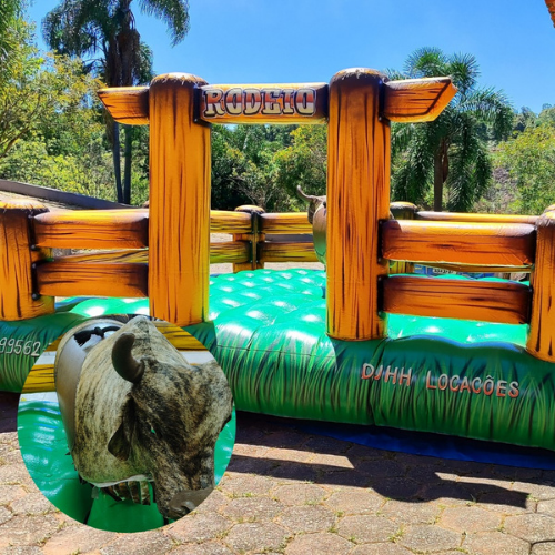 Touro Mecânico - Foto 1