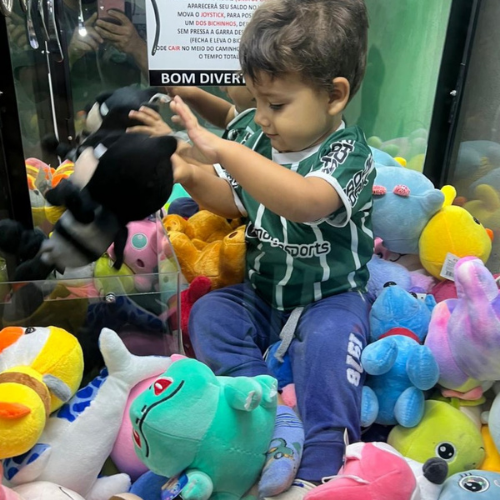 Máquina de Ursos - Foto 2